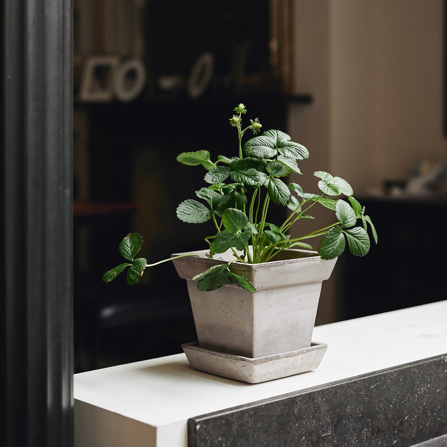 Gaia Raw Grey Ø21 - Bilde 8