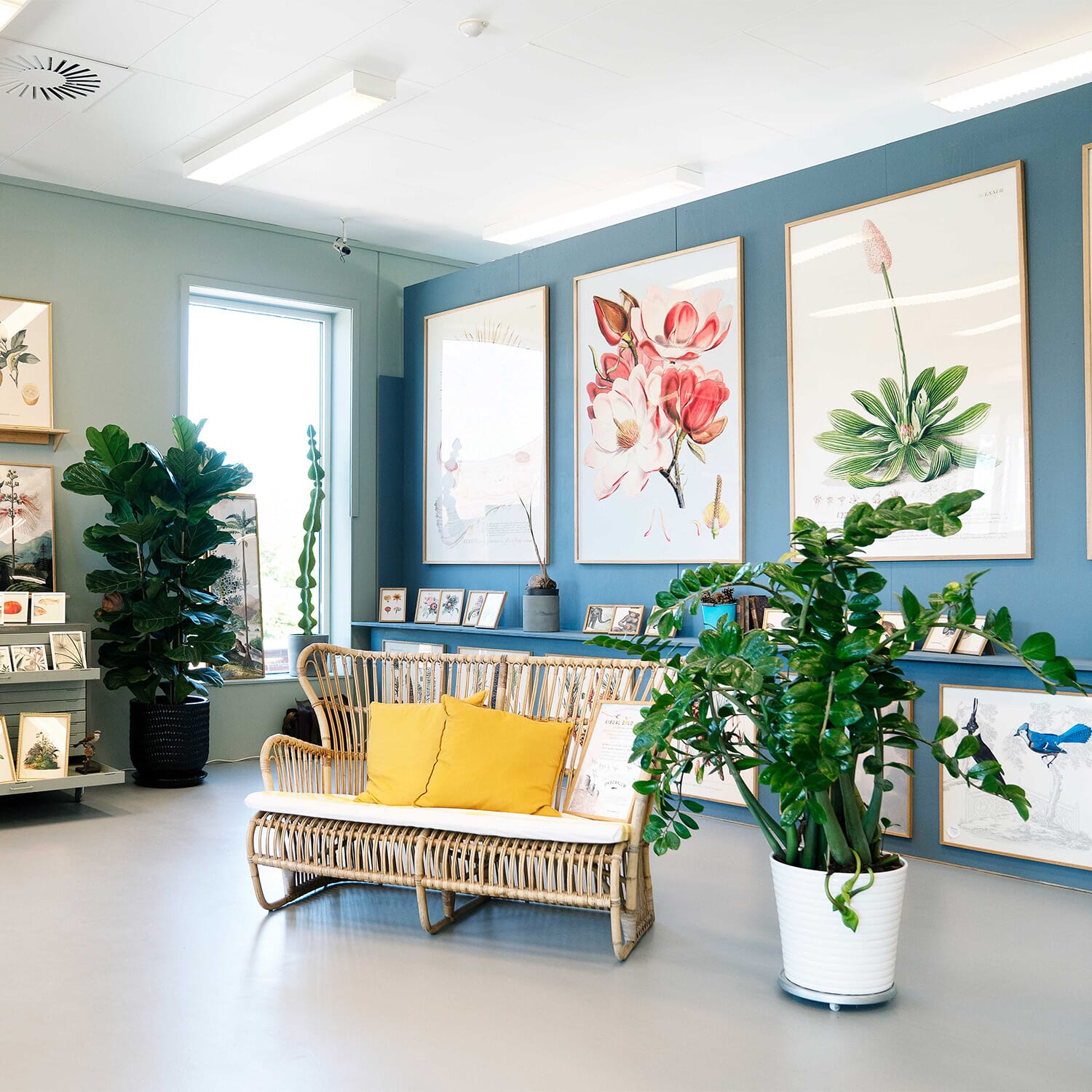 Bilde Tripple Lotus - Bilde 8