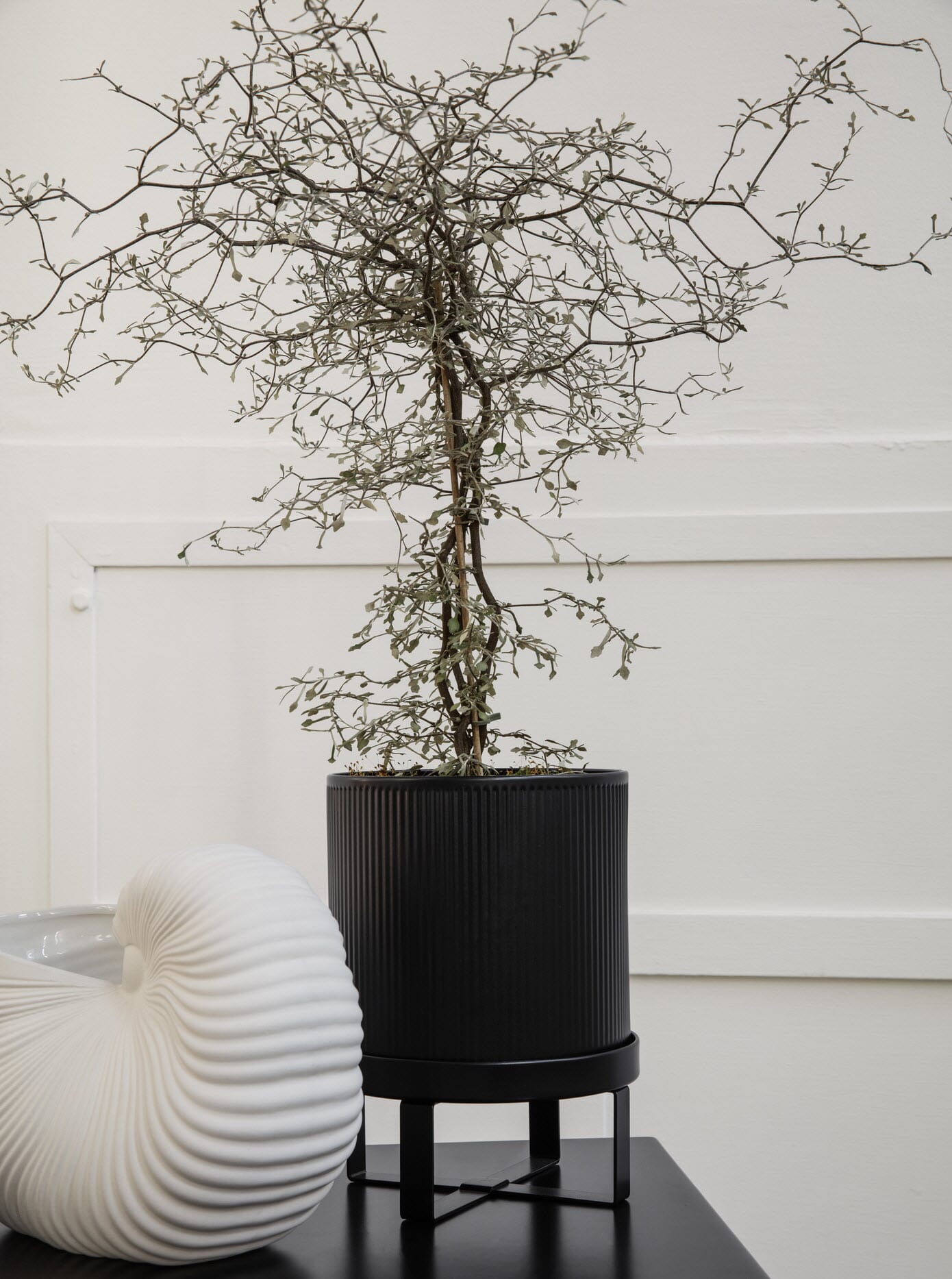 Bau Pot Black Large - Bilde 3