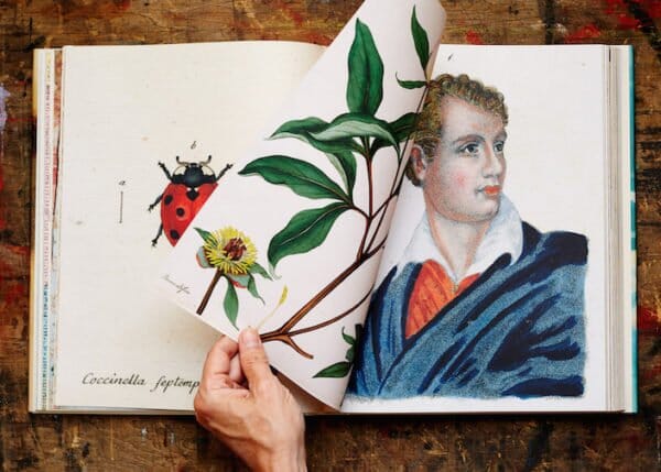 Boken John Derian Picture book - Bilde 2