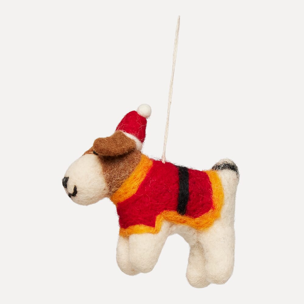 Fido med nissedrakt - Bilde 3