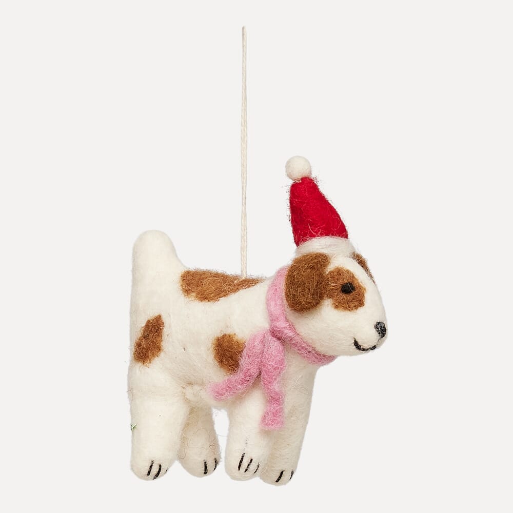 Fiffi med nisselue - Hovedbilde