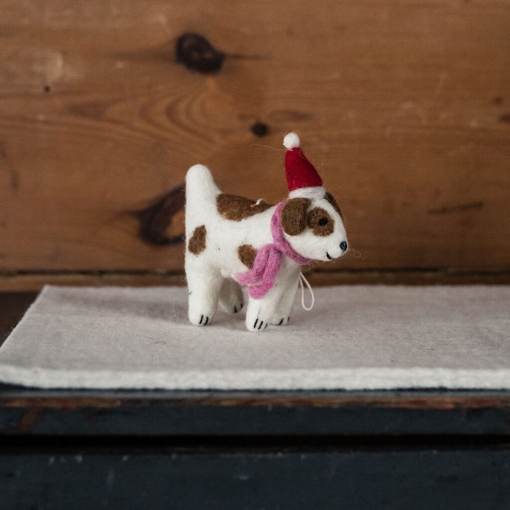 Fiffi med nisselue - Bilde 2