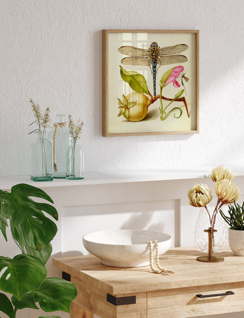 Bilde Dragonfly 61x61