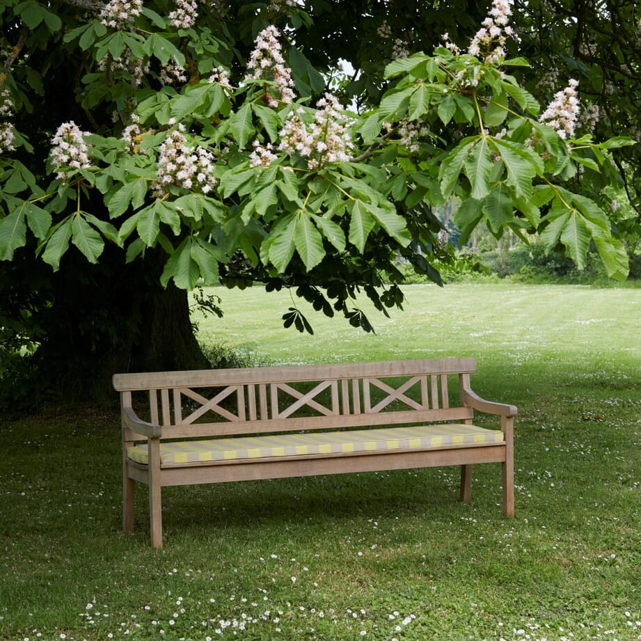 Pute til Drachmann Benk 200 - Bilde 2