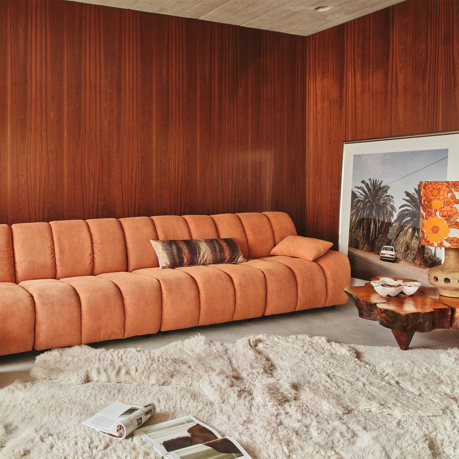 Pute Gradient - Bilde 3