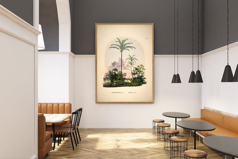 Bilde Astrocaryum vulgare. Cocos nucifera