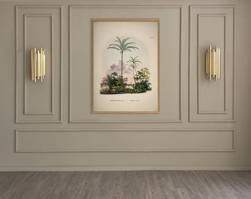 Bilde Astrocaryum vulgare. Cocos nucifera