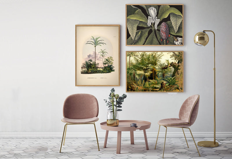 Bilde Astrocaryum vulgare. Cocos nucifera