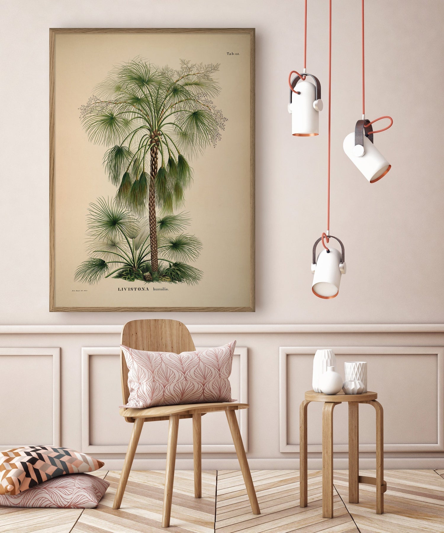 Bilde Livistona Humilis