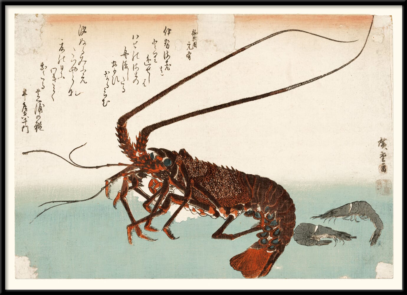 Bilde Spiny Lobster - Hovedbilde