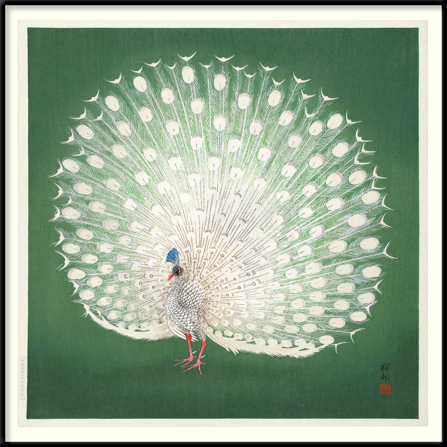 Bilde Peacock on Green 100x100 - Bilde 3