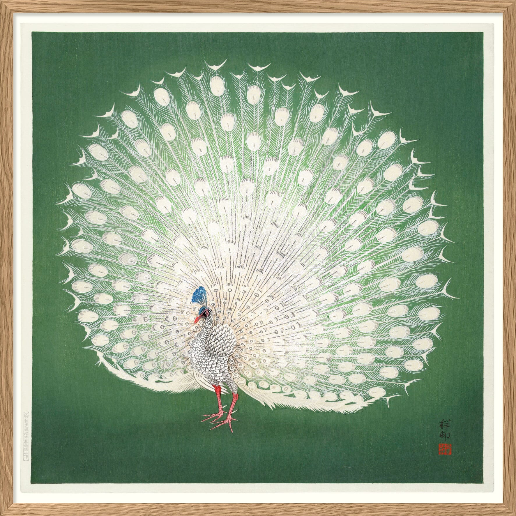 Bilde Peacock on Green 100x100 - Hovedbilde