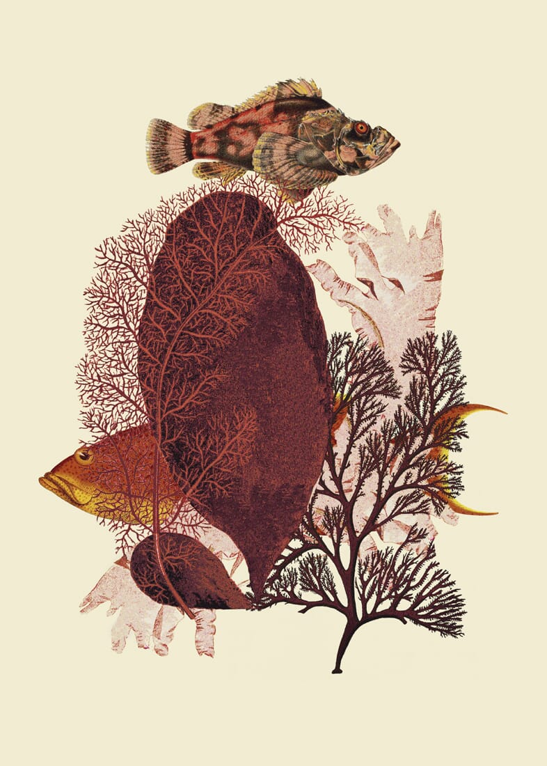 Bilde Red Tones - Bilde 2