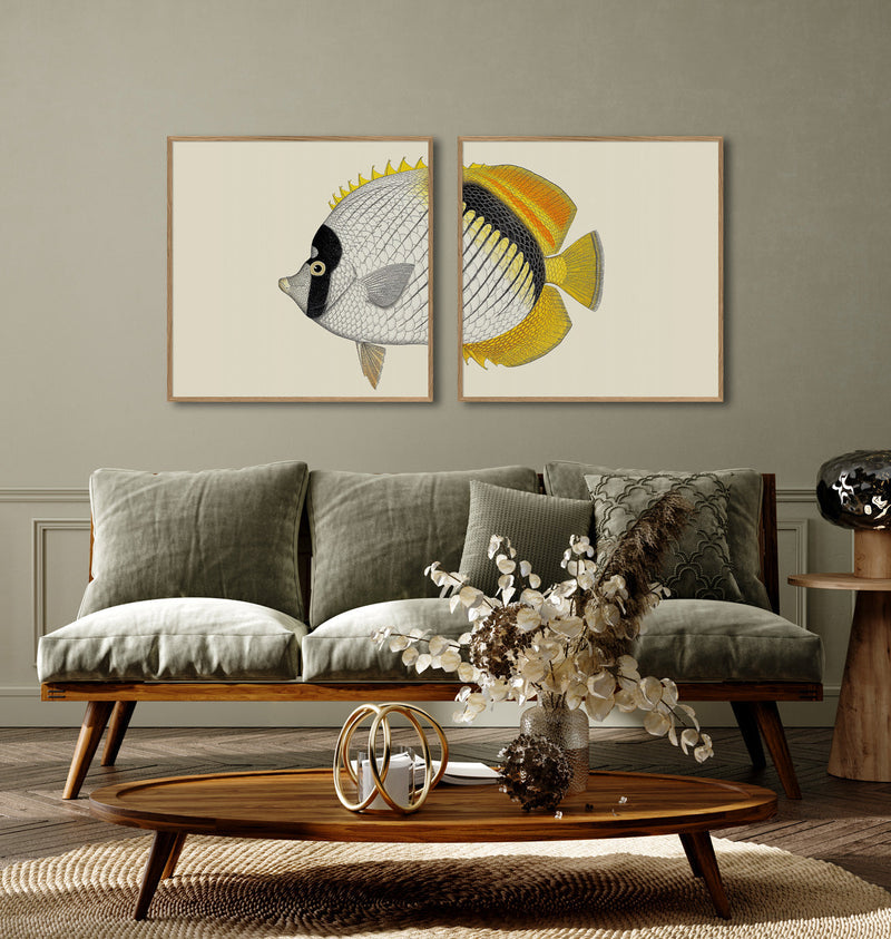 Bilde Half Fish White Yellow Right