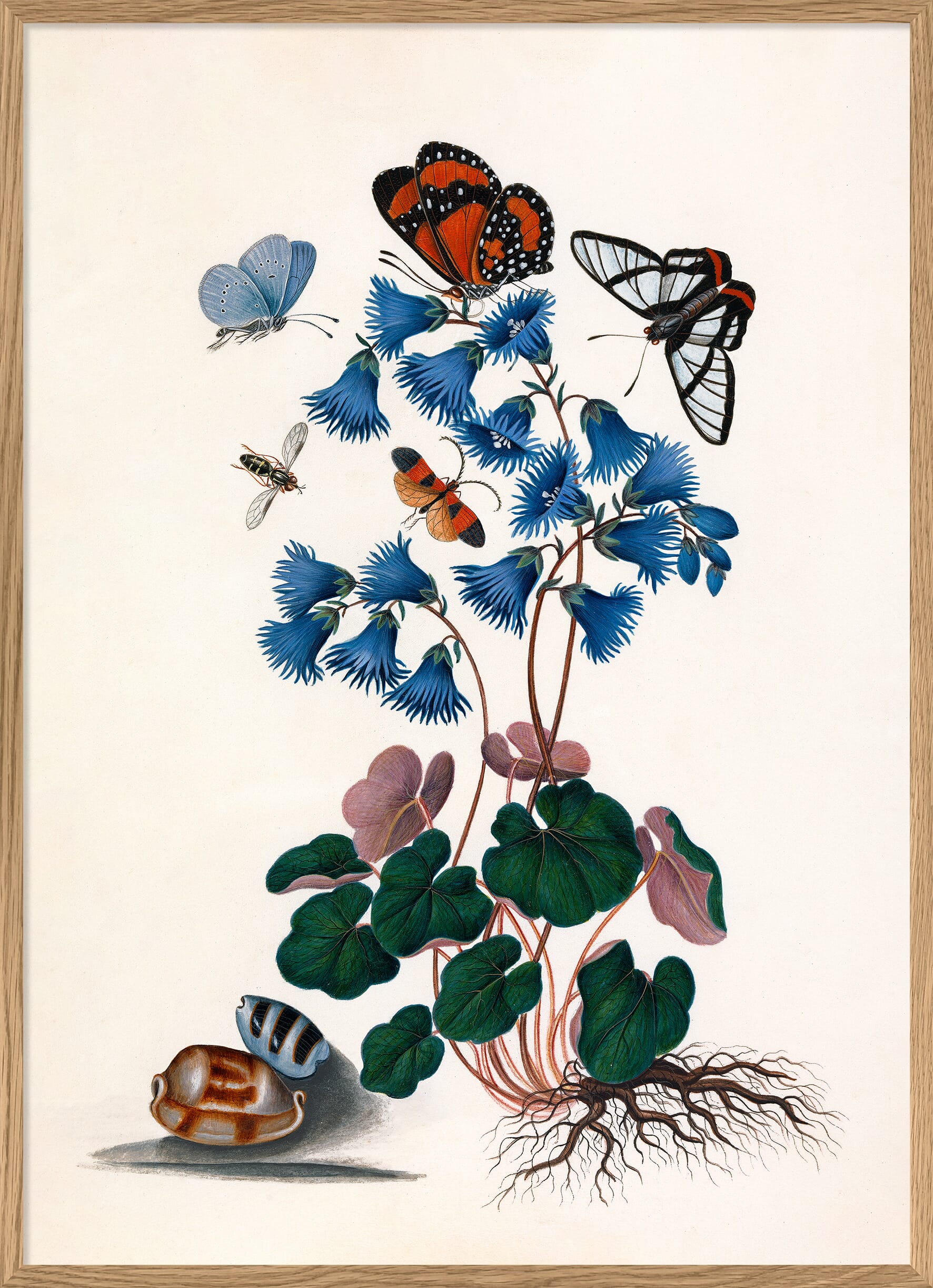 Bilde Butterflies & Blue Flowers