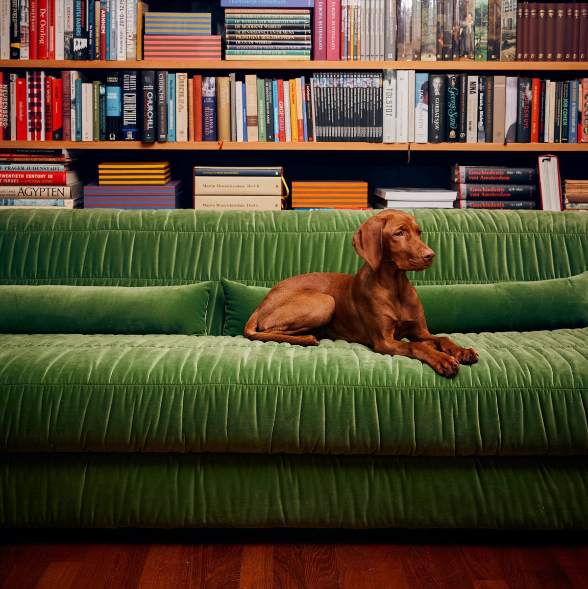 Club sofa i Royal Velvet Green har mykt fløyelstrekk