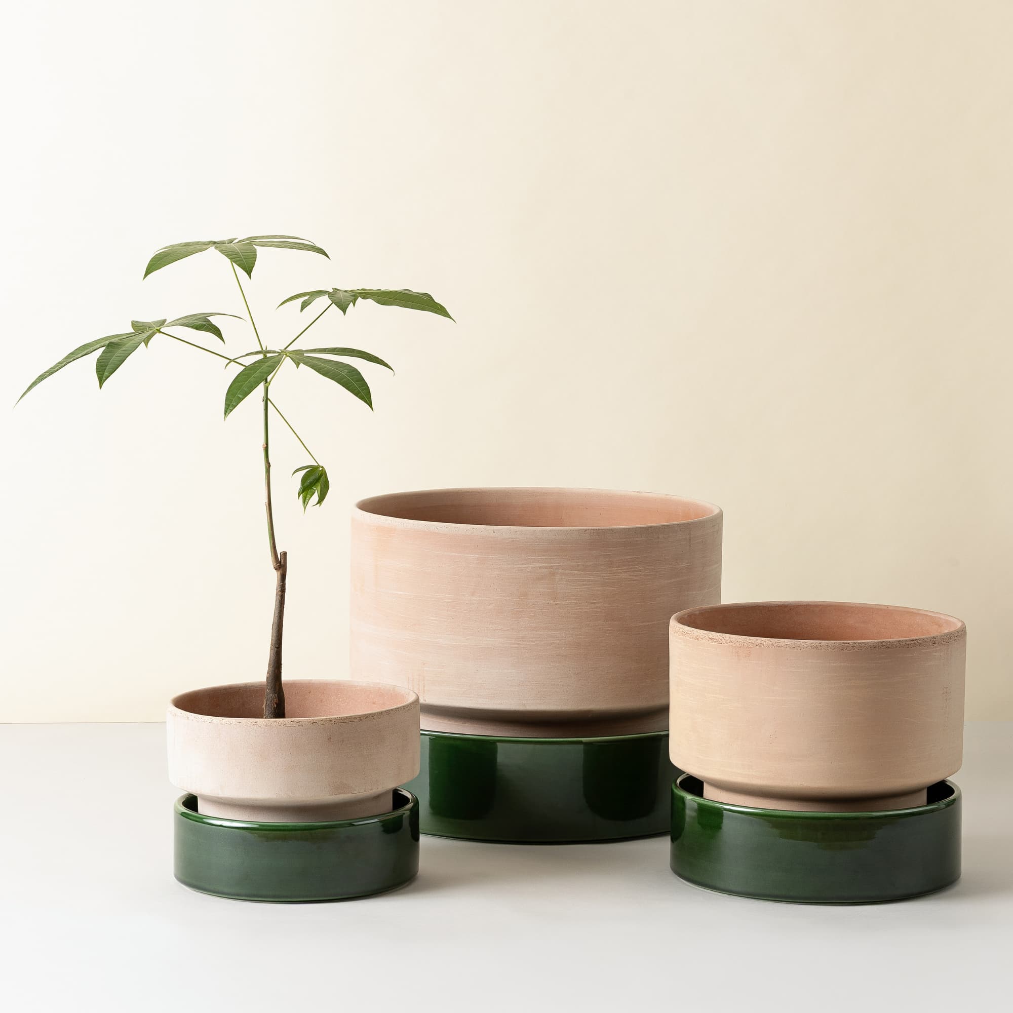 Hoff Potte Rosa/Emerald Green 30x25