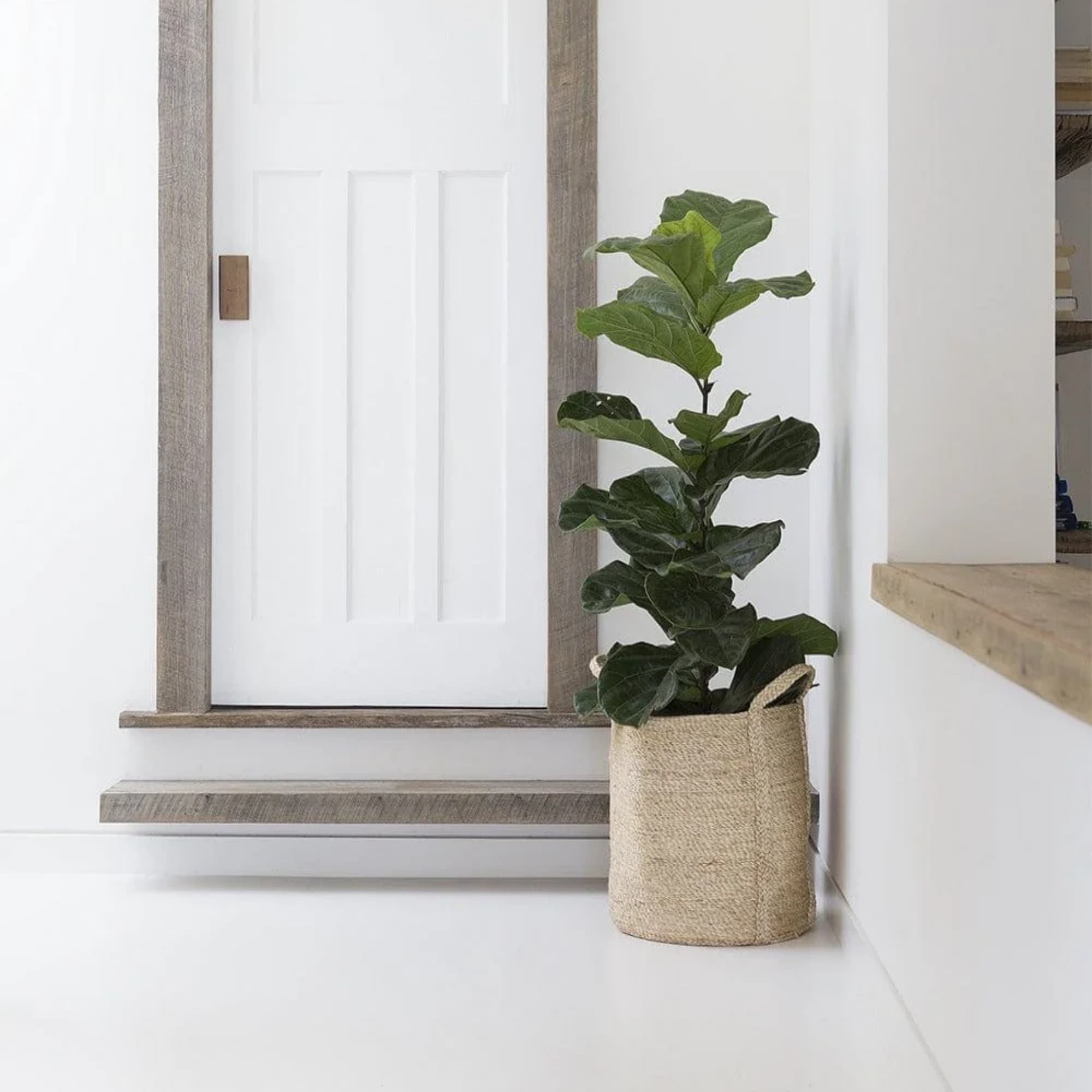 Kurv Jute Natur H:52