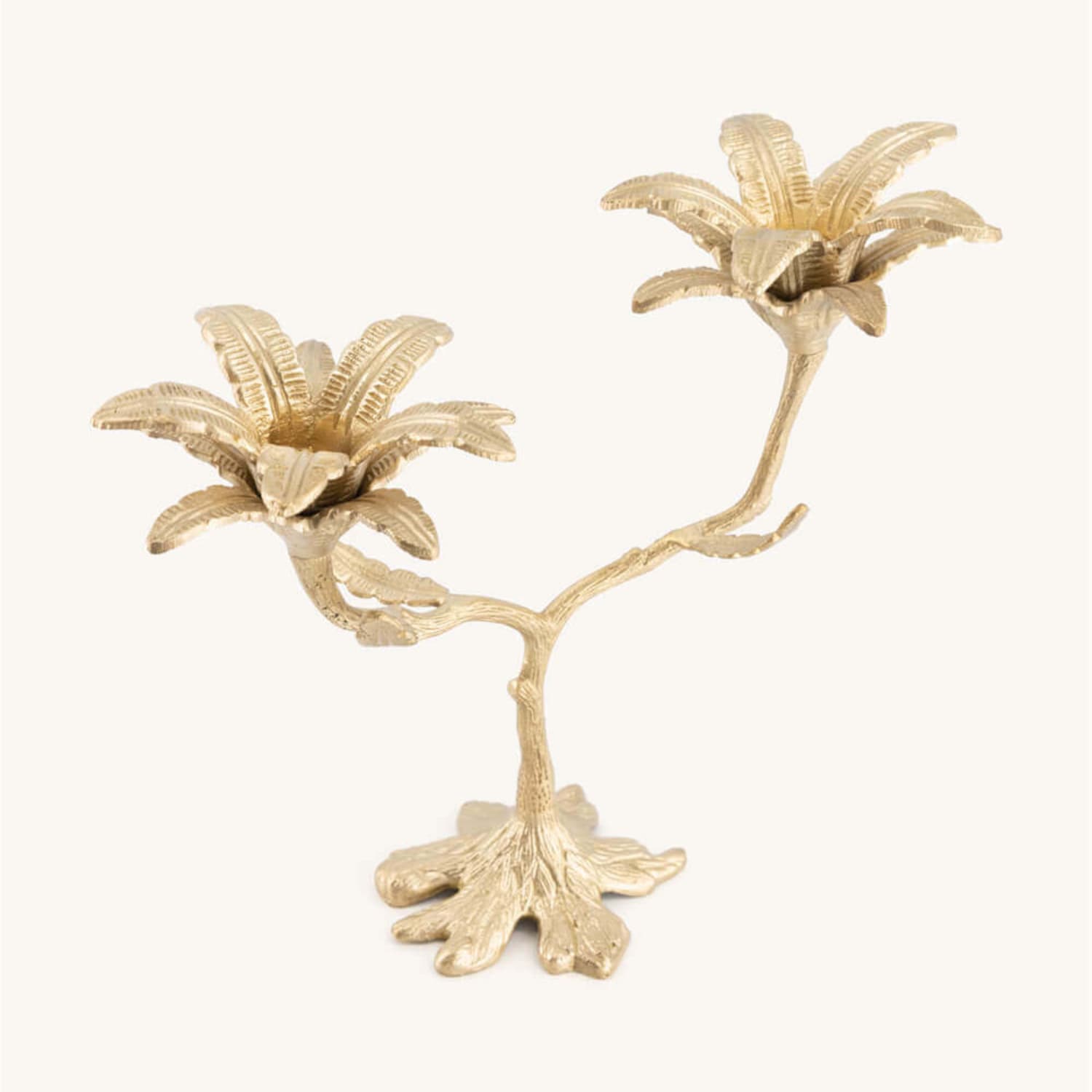 Lysestake Palash Palm