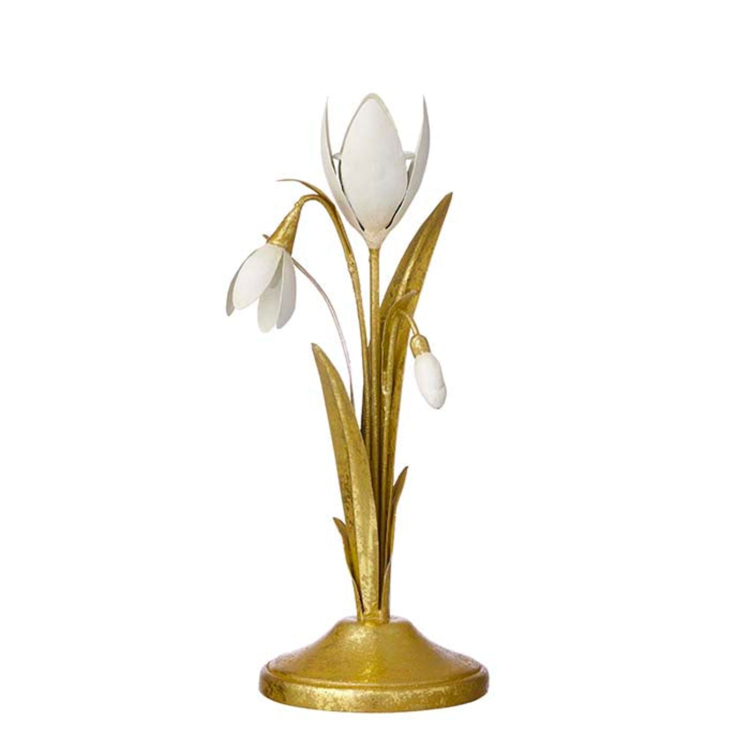 Lysestake Golden Tulip