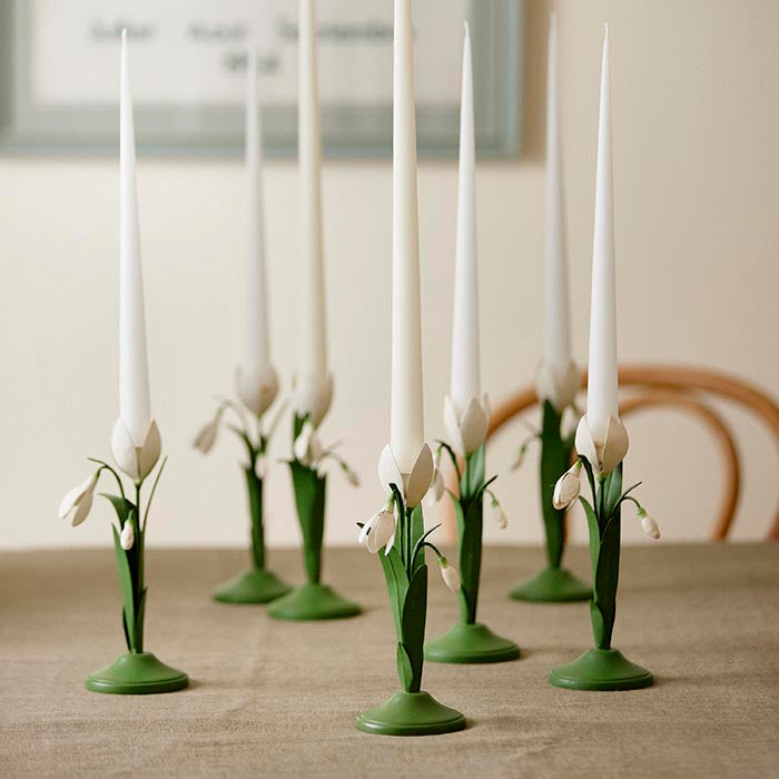 Lysestake Snowdrop Ivy