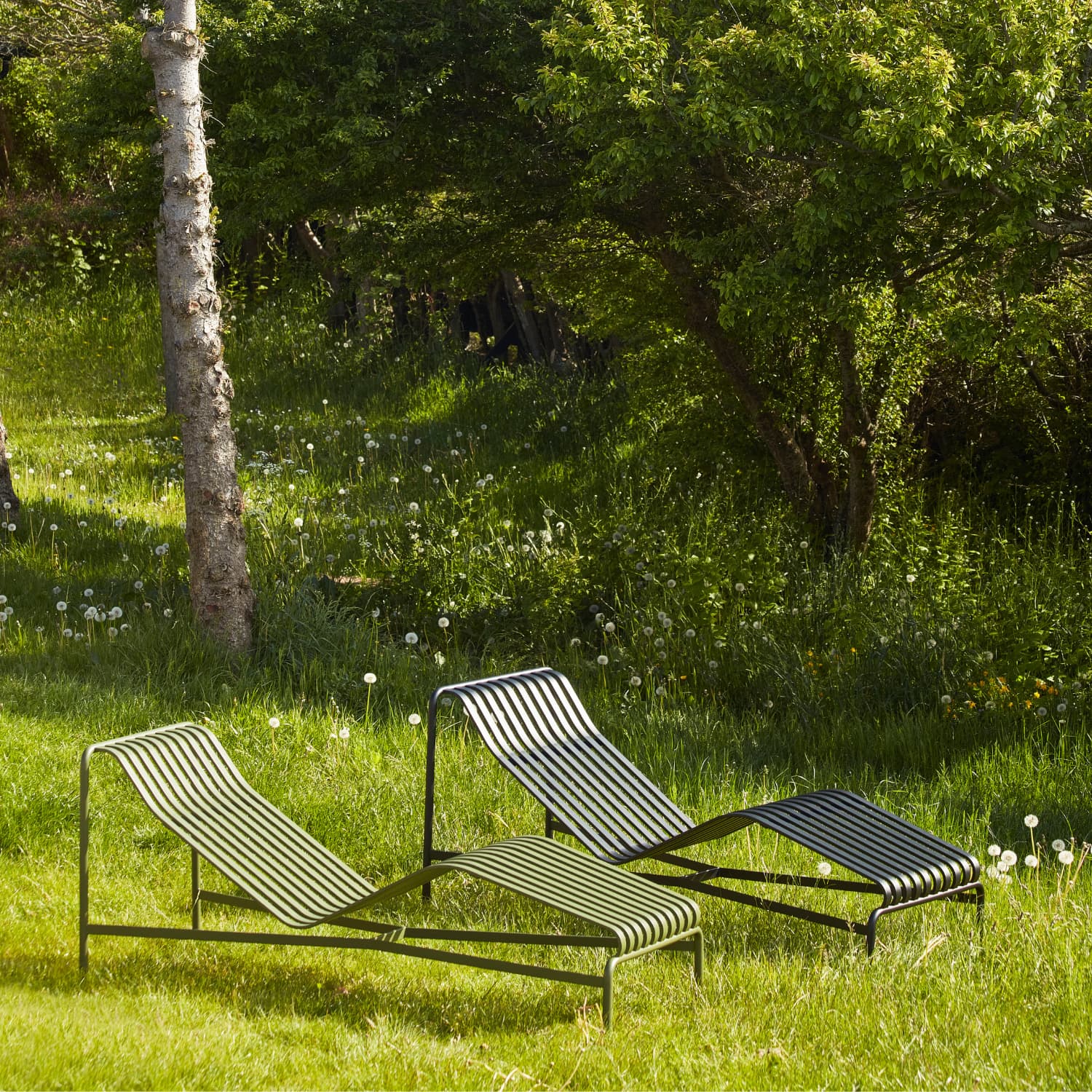 Palissade Chaise Lounge Olive