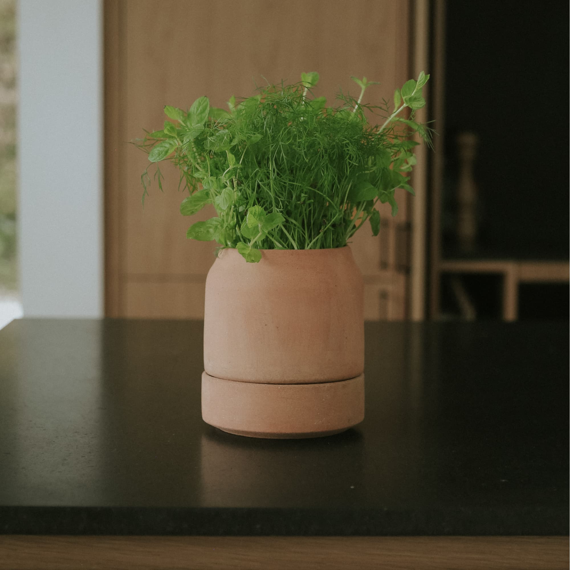 Potte Viva 14 cm