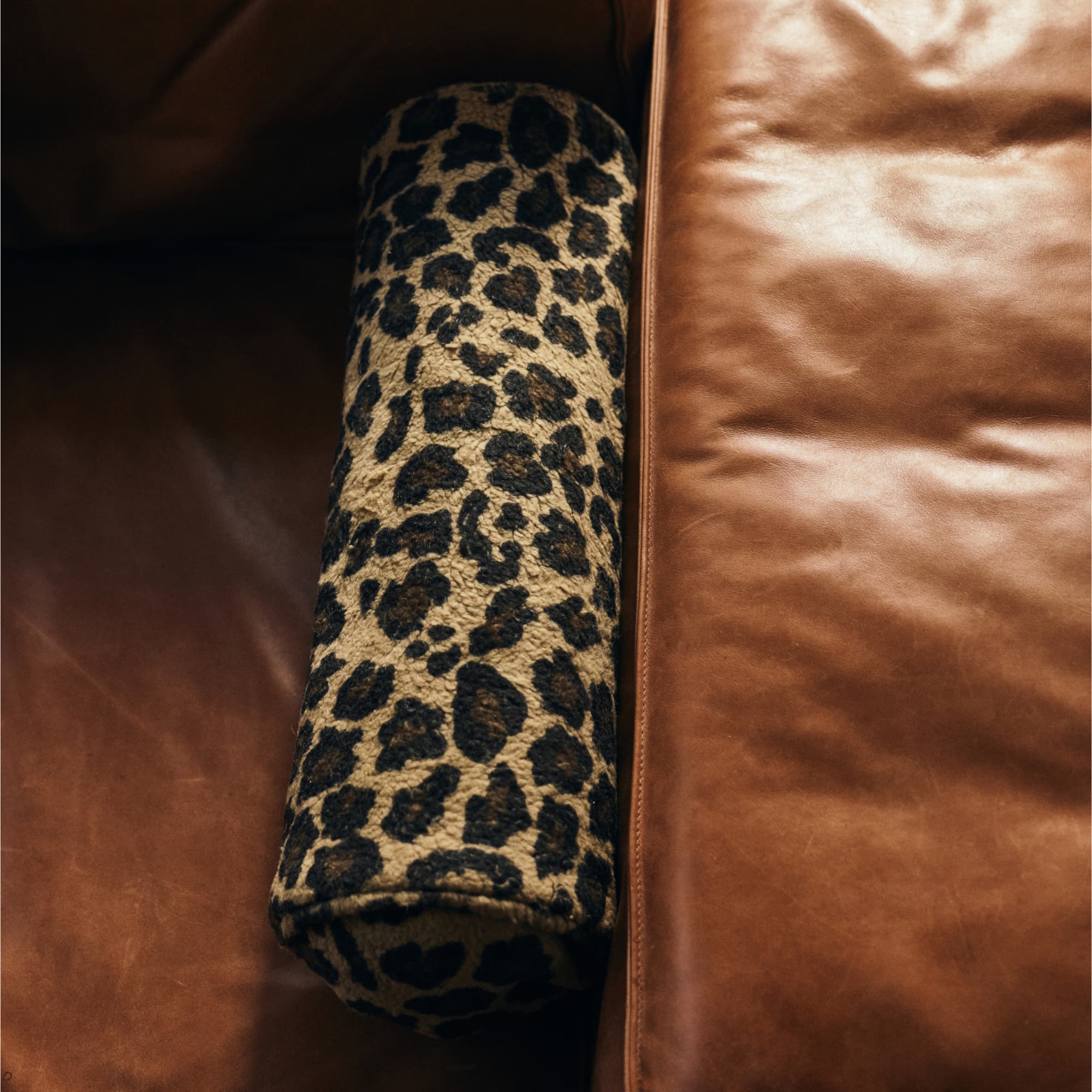Pute Panther 50x13