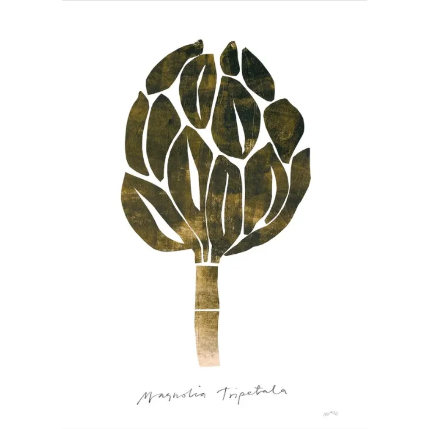 Poster Magnolia 50x70