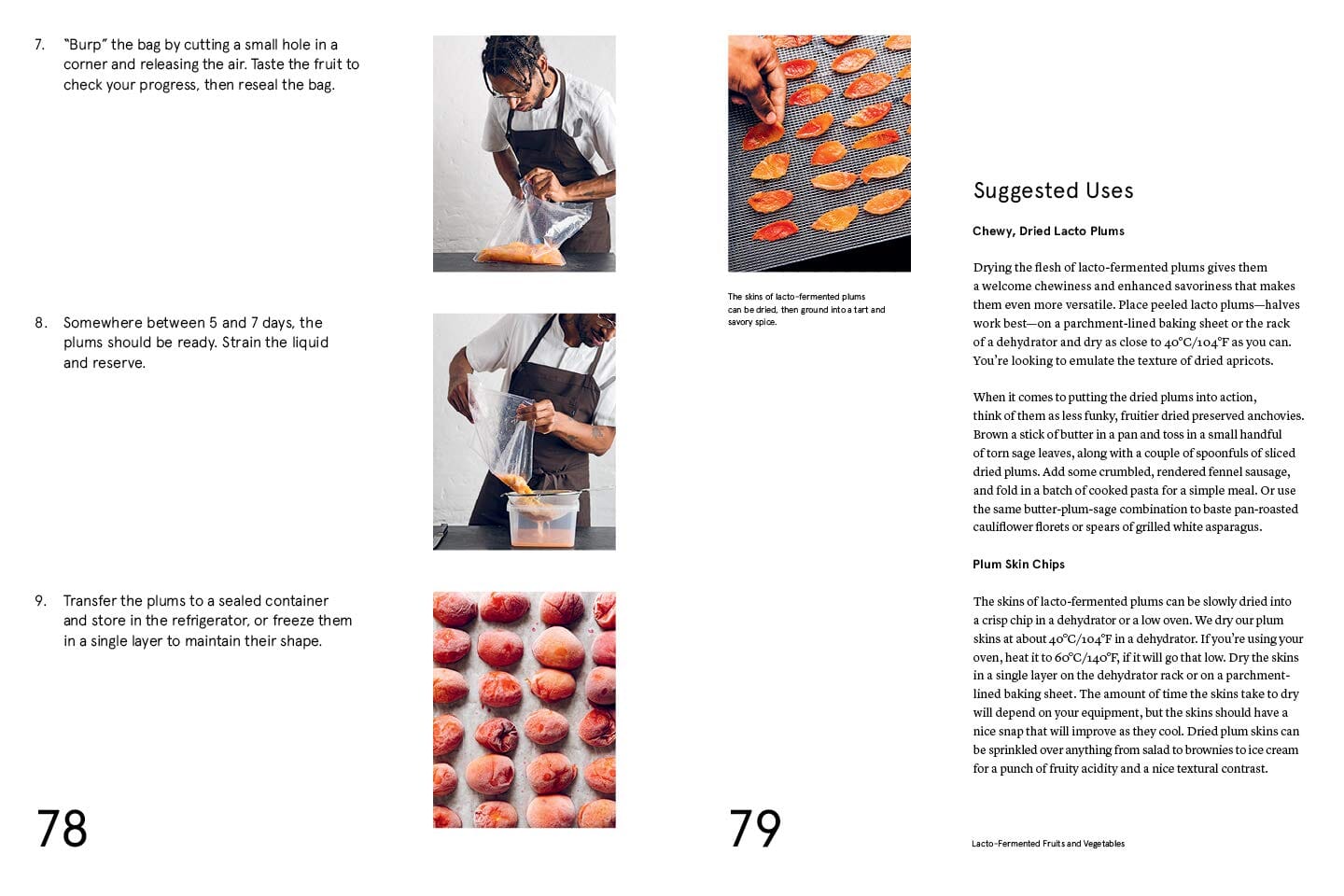 Boken The Noma Guide to Fermation - Bilde 4