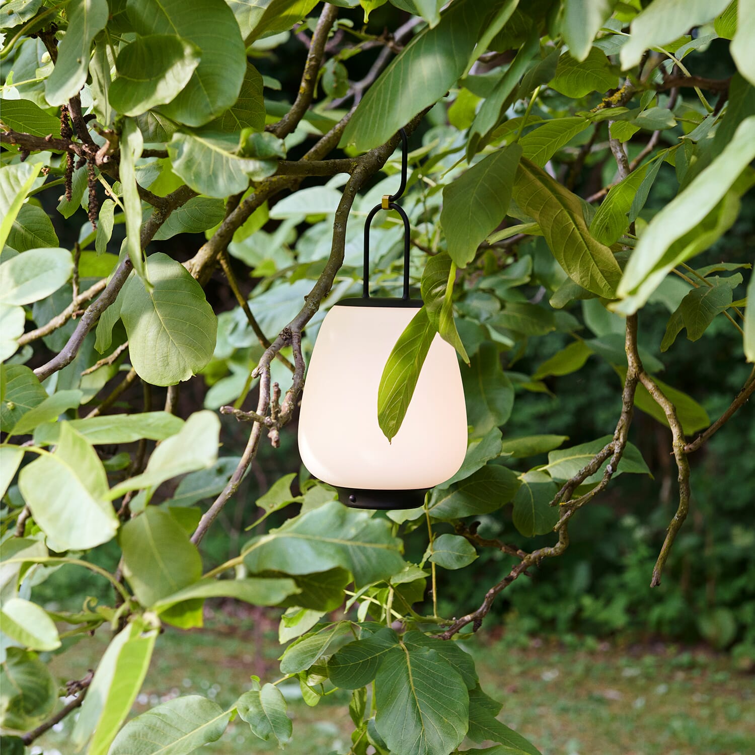 Lucca Oppladbar Lampe SC51 Black - Bilde 6