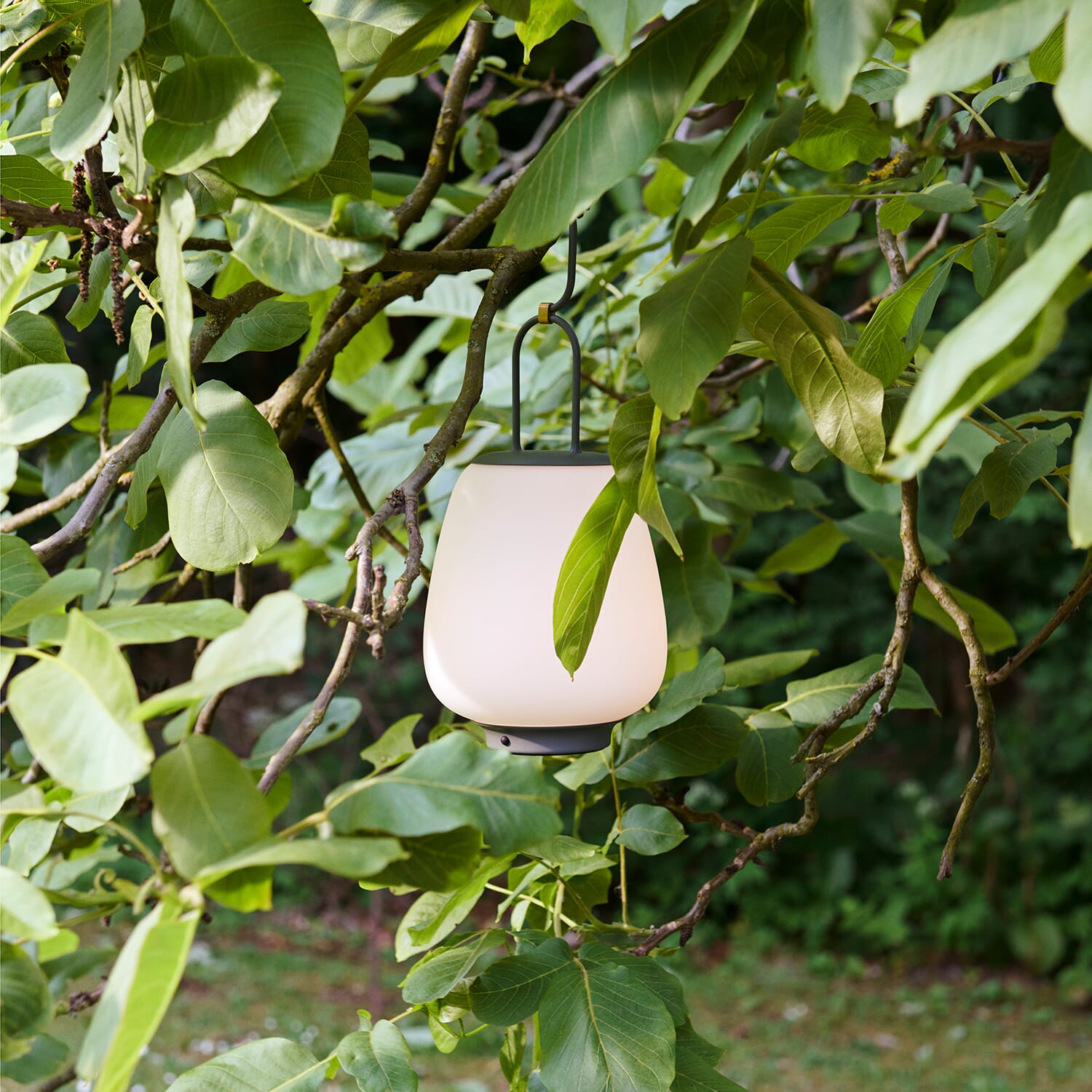 Lucca Oppladbar Lampe SC51 Moss - Relatert 1