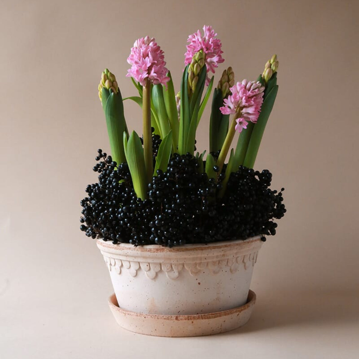 Københavner Krukke Rose LAV 25 cm - Bilde 3