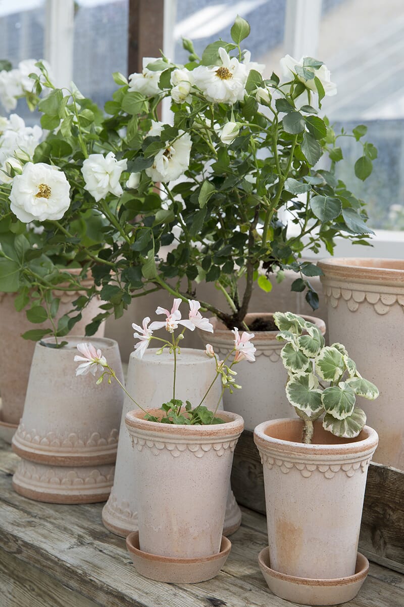 Københavner Krukke Rose HØY 14x19 cm - Bilde 6