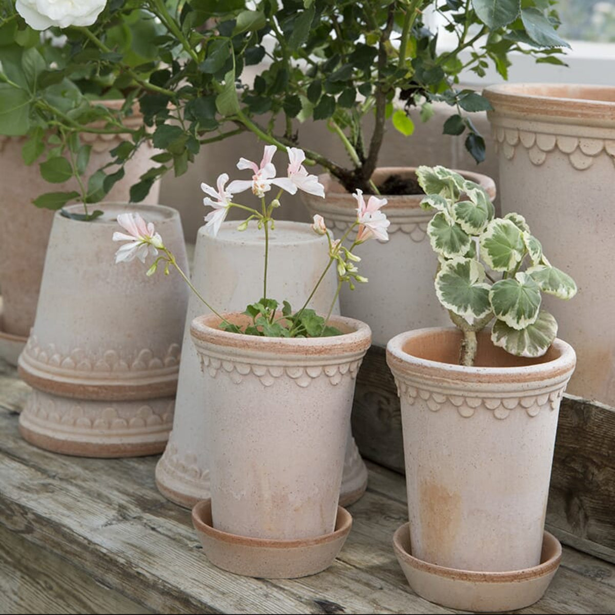 Københavner Krukke Rose HØY 14x19 cm - Bilde 6