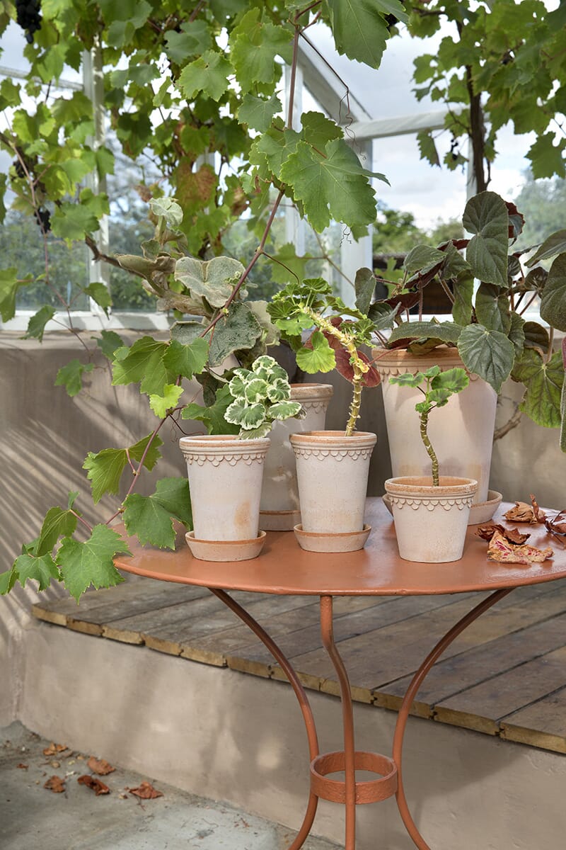 Københavner Krukke Rose HØY 14x19 cm - Bilde 5