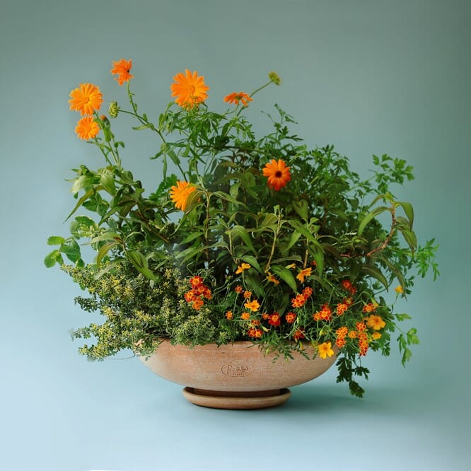 Ada Krukke Rose 30x9 - Bilde 2