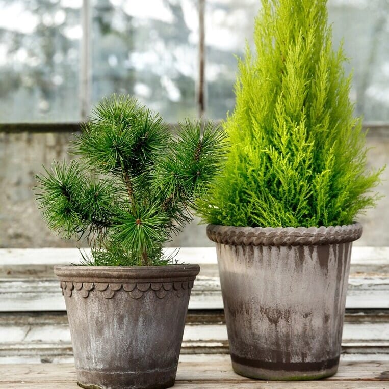 Københavner Krukke Grå 35x28 - Bilde 2