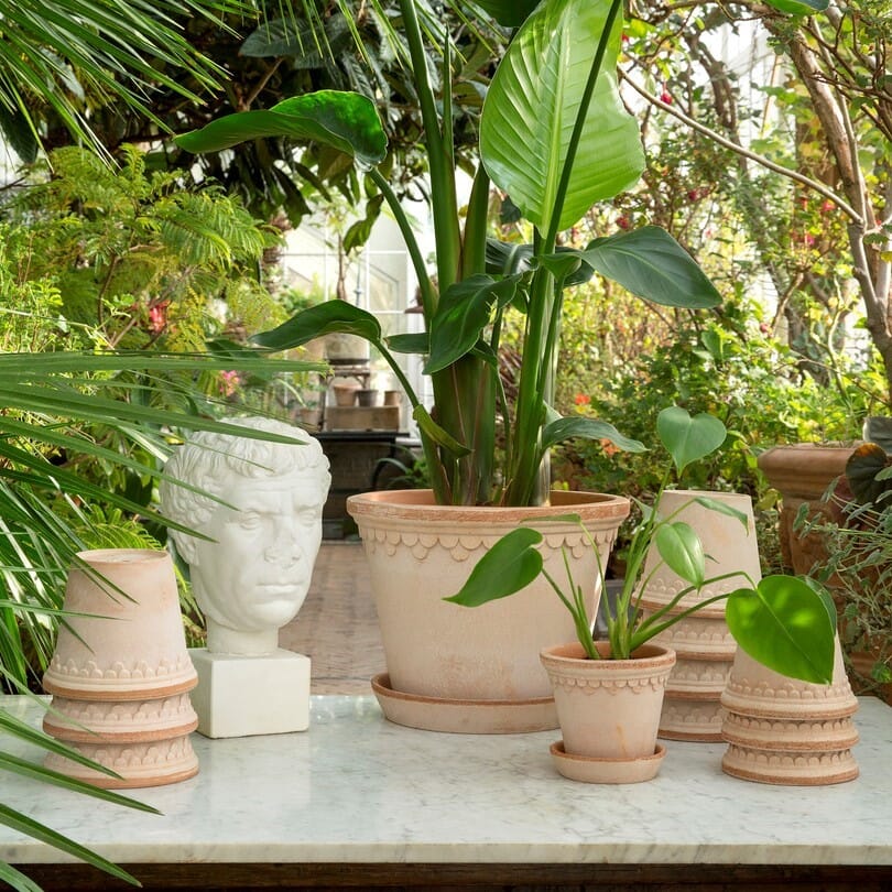 Københavner Krukke Rose 30x25 - Bilde 2