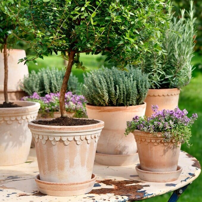 Københavner Krukke Rose 35x28 - Bilde 3