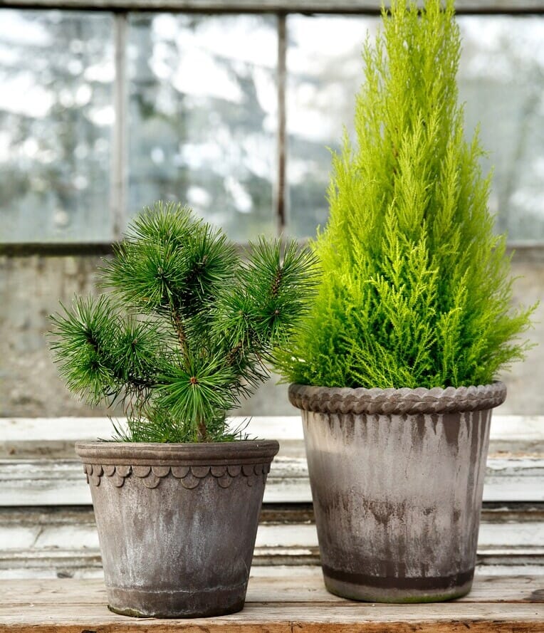 Københavner Krukke Grå 25x22 - Bilde 4