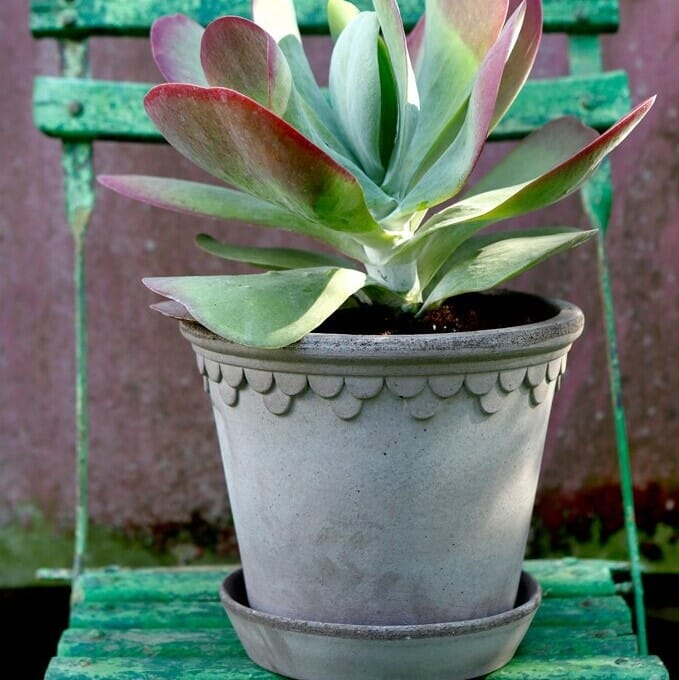 Københavner Krukke Grå 25x22 - Bilde 2