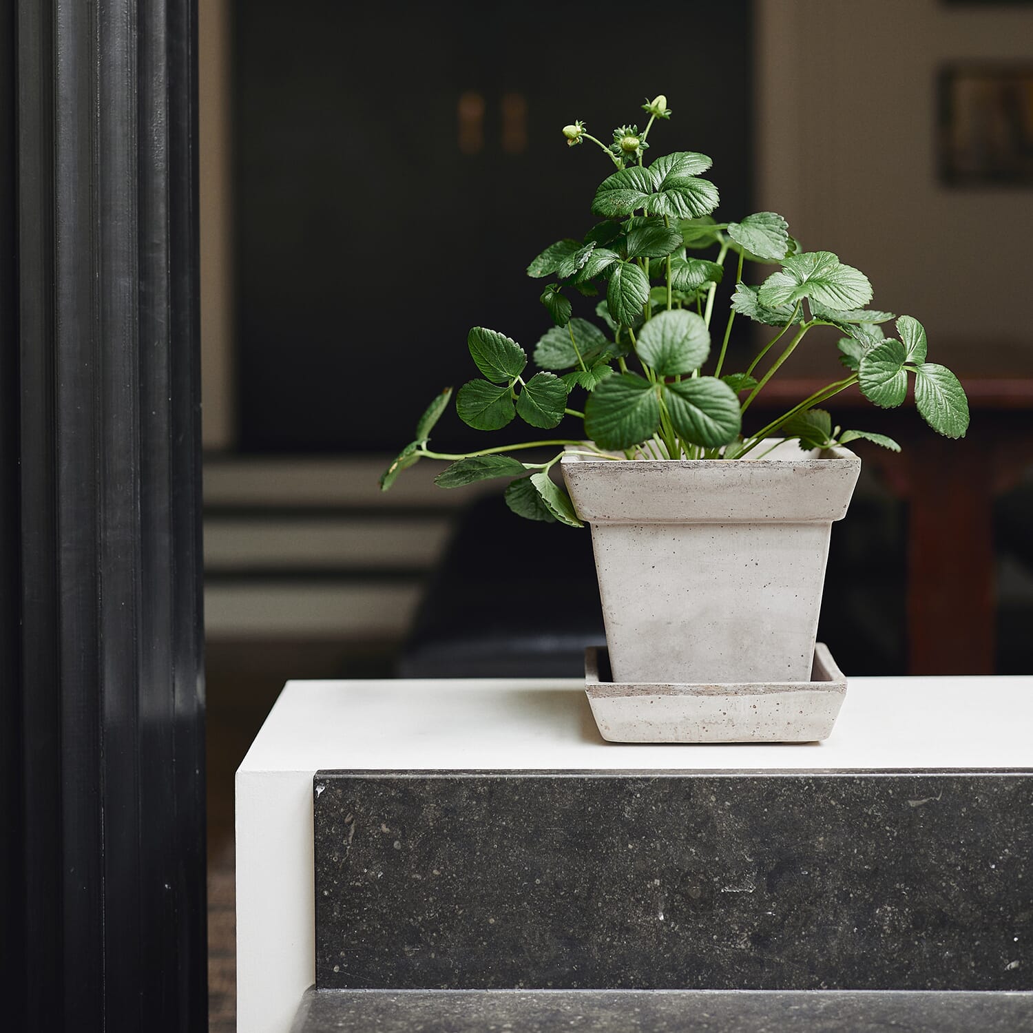 Gaia Raw Grey Ø21 - Bilde 9