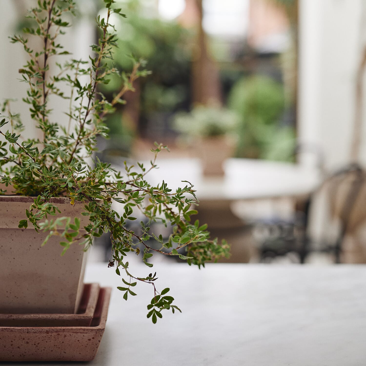 Gaia Raw Rosa Ø25 - Bilde 3