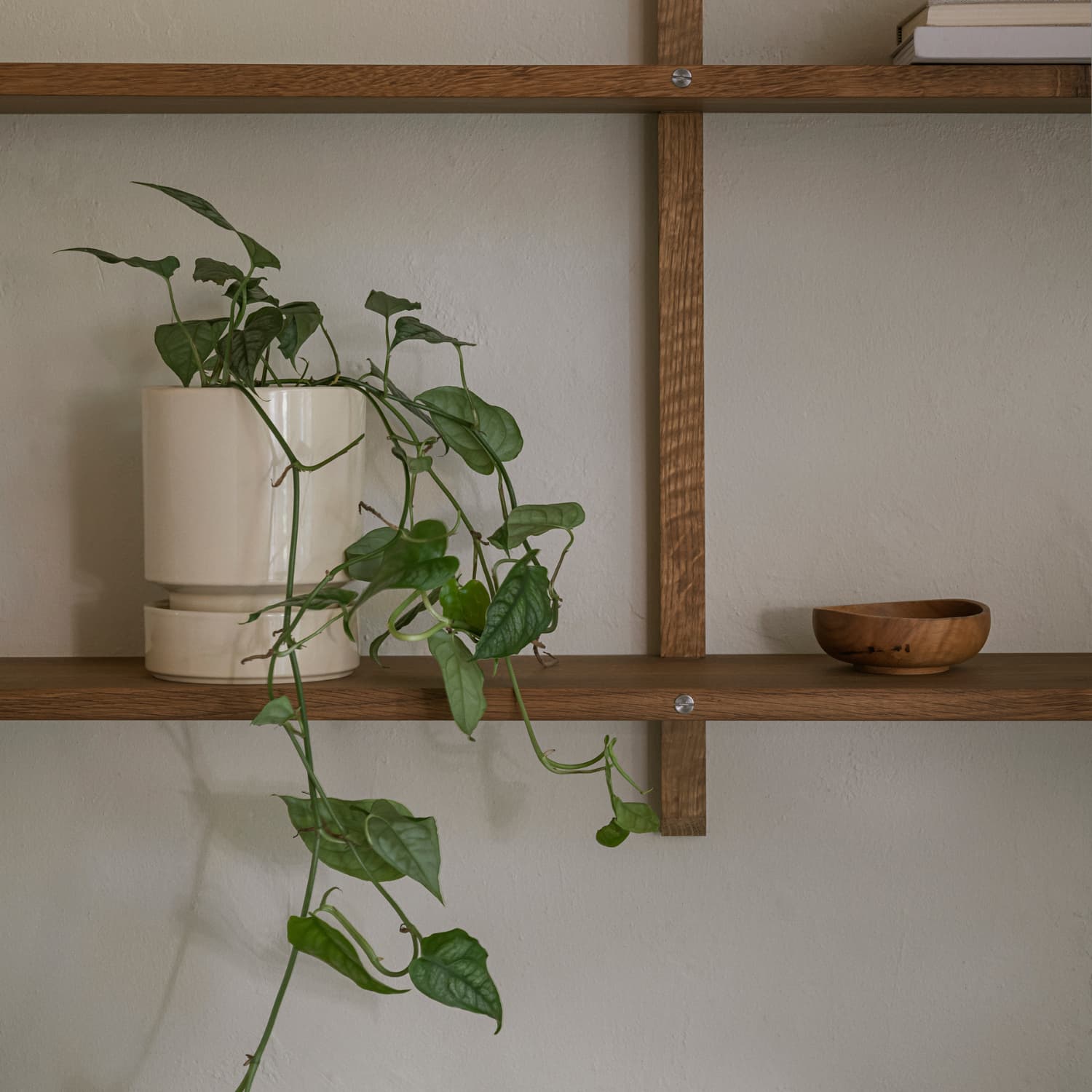 Hoff potte i fargen sandstone plassert i på en trehylle av eik