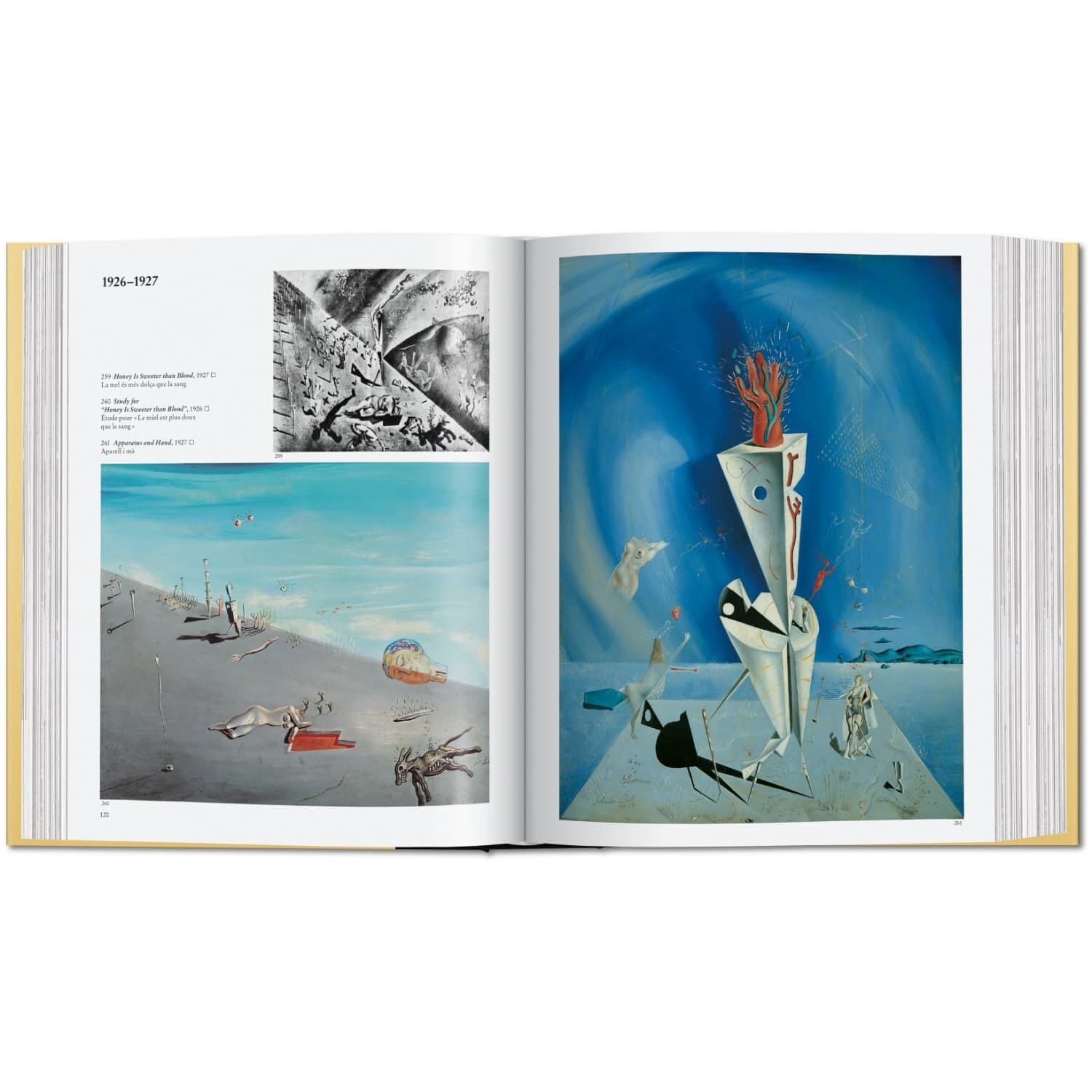 Dalí. The Paintings - Bilde 7