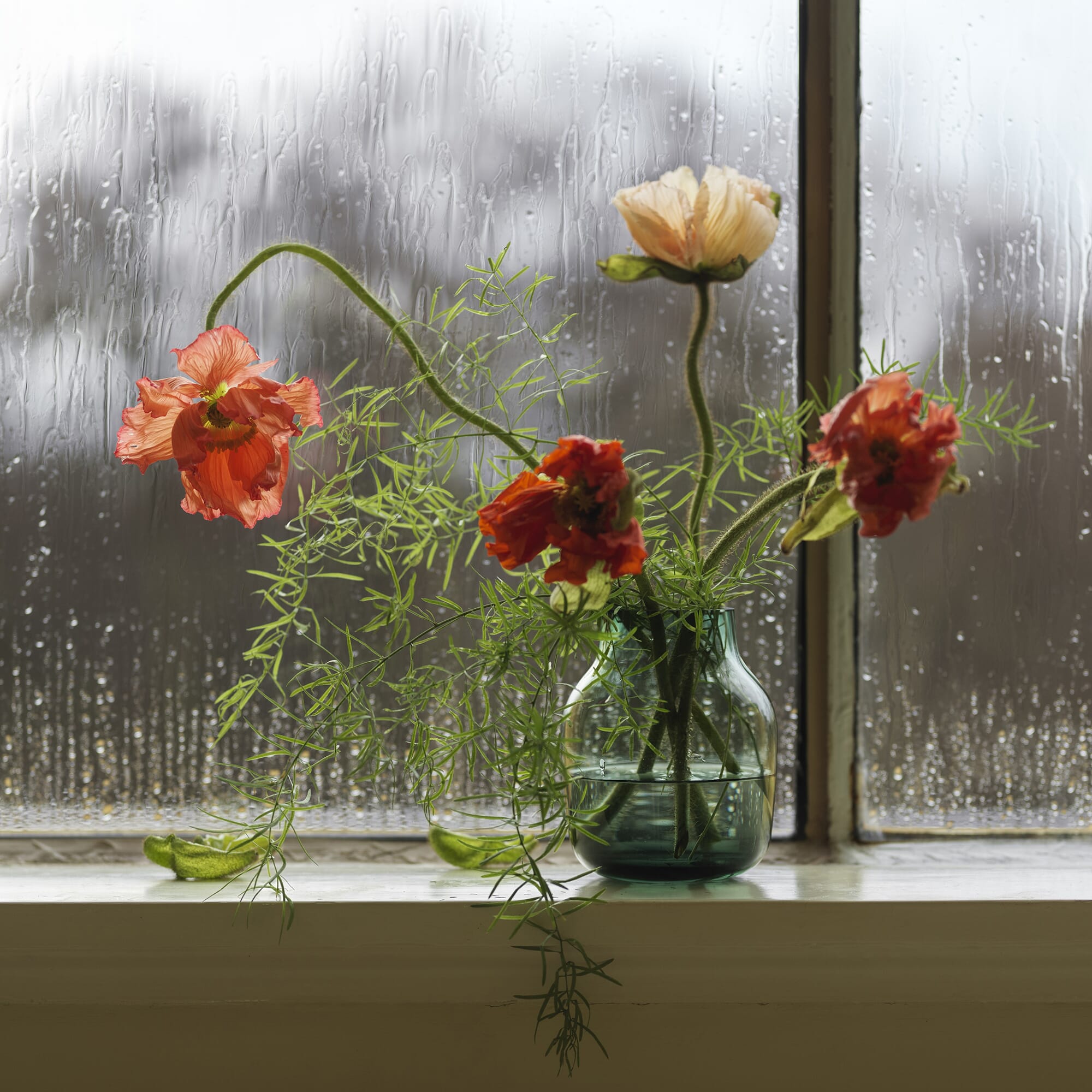 Silent Vase ?:20 - Relatert 6