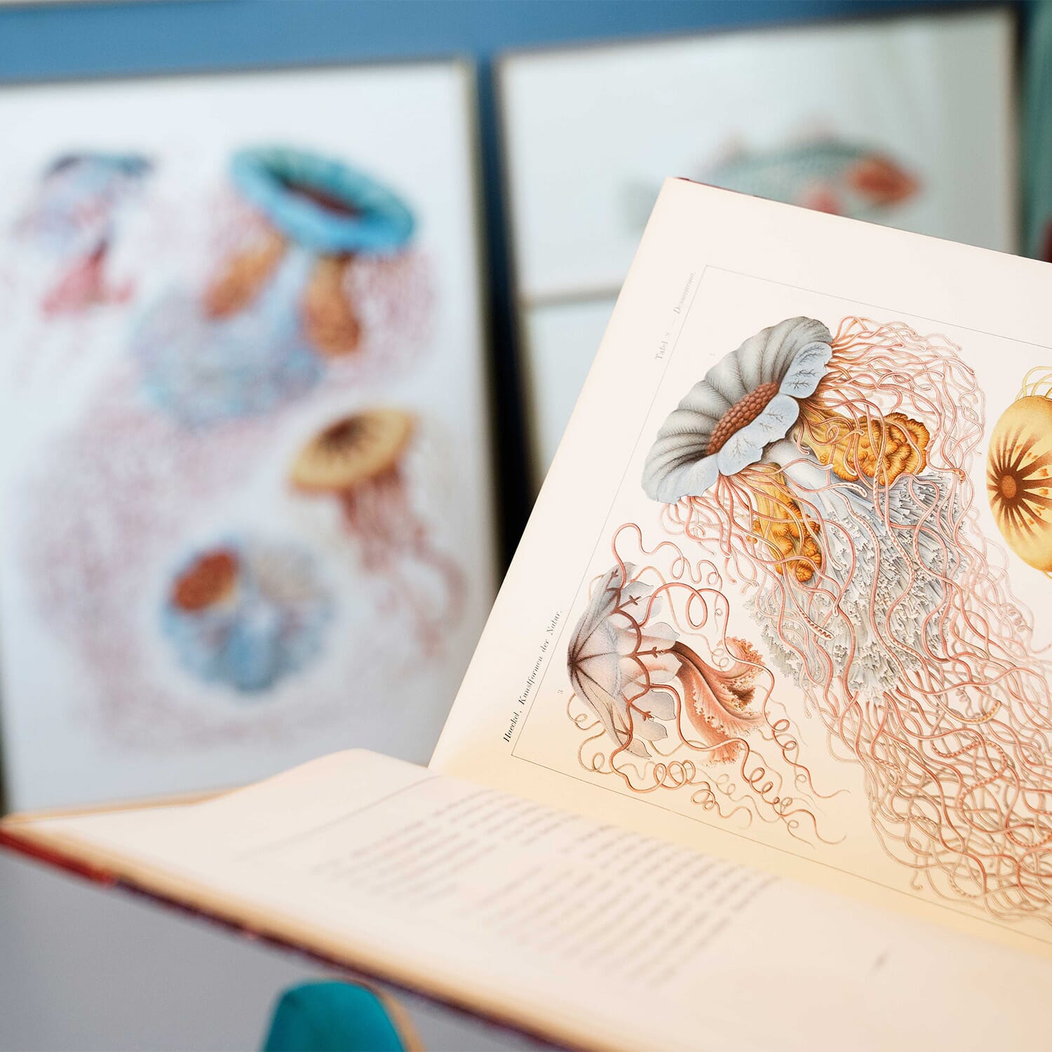 Bilde Clouds VII 70x100 - Bilde 4