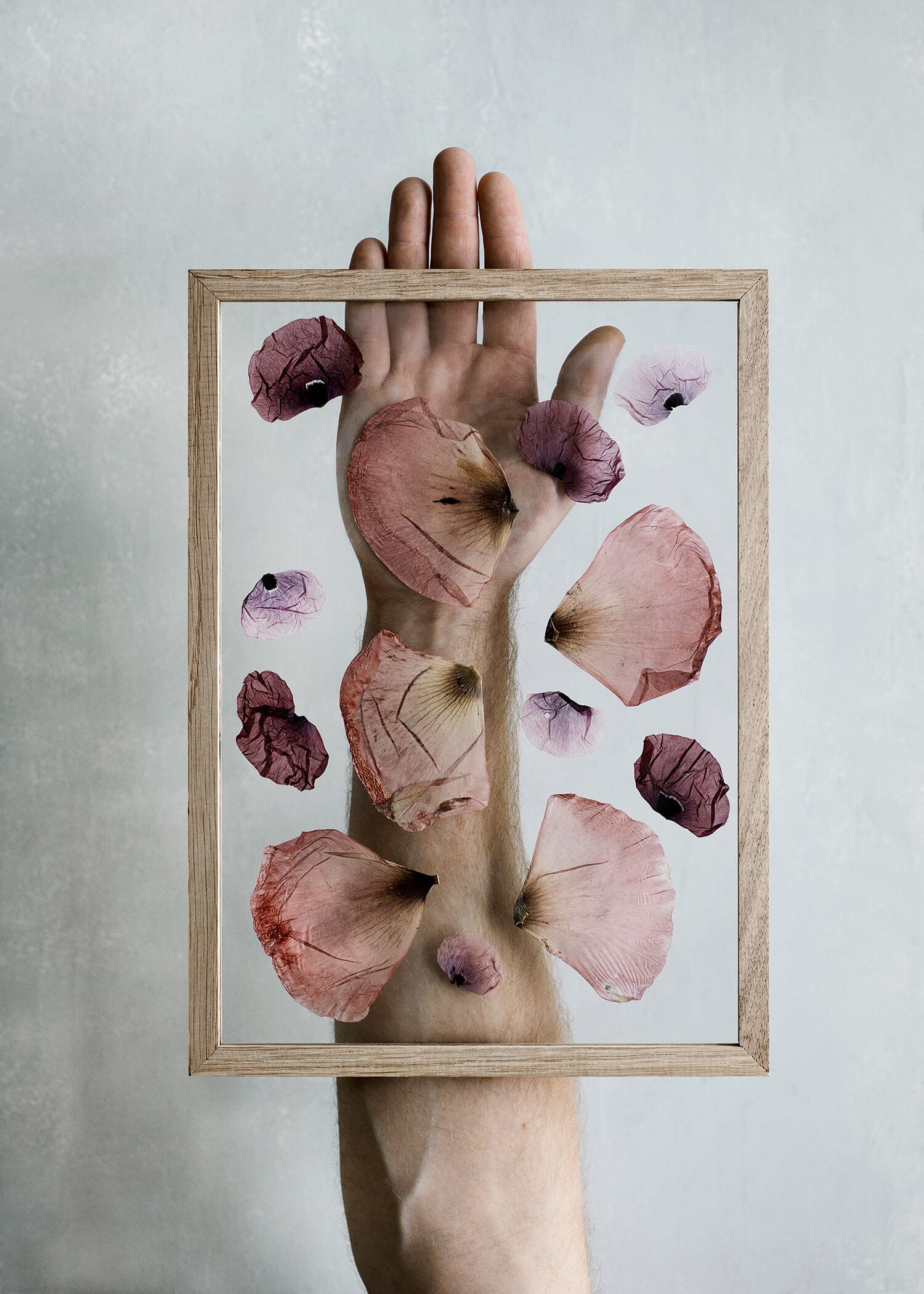 Ramme A4 Eik - Bilde 4